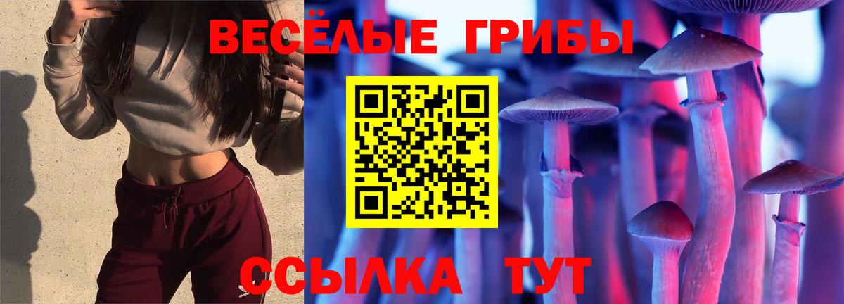 Псилоцибиновые грибы MAGIC MUSHROOMS  Вход с VPN  Кизляр 